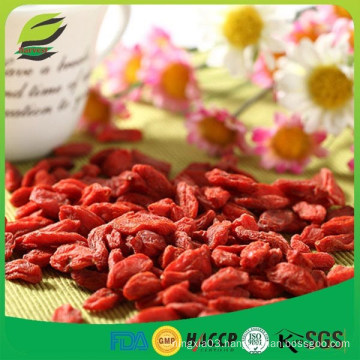 Kosher approved tasty and hot-selling chinese wolfberry dried goji berries